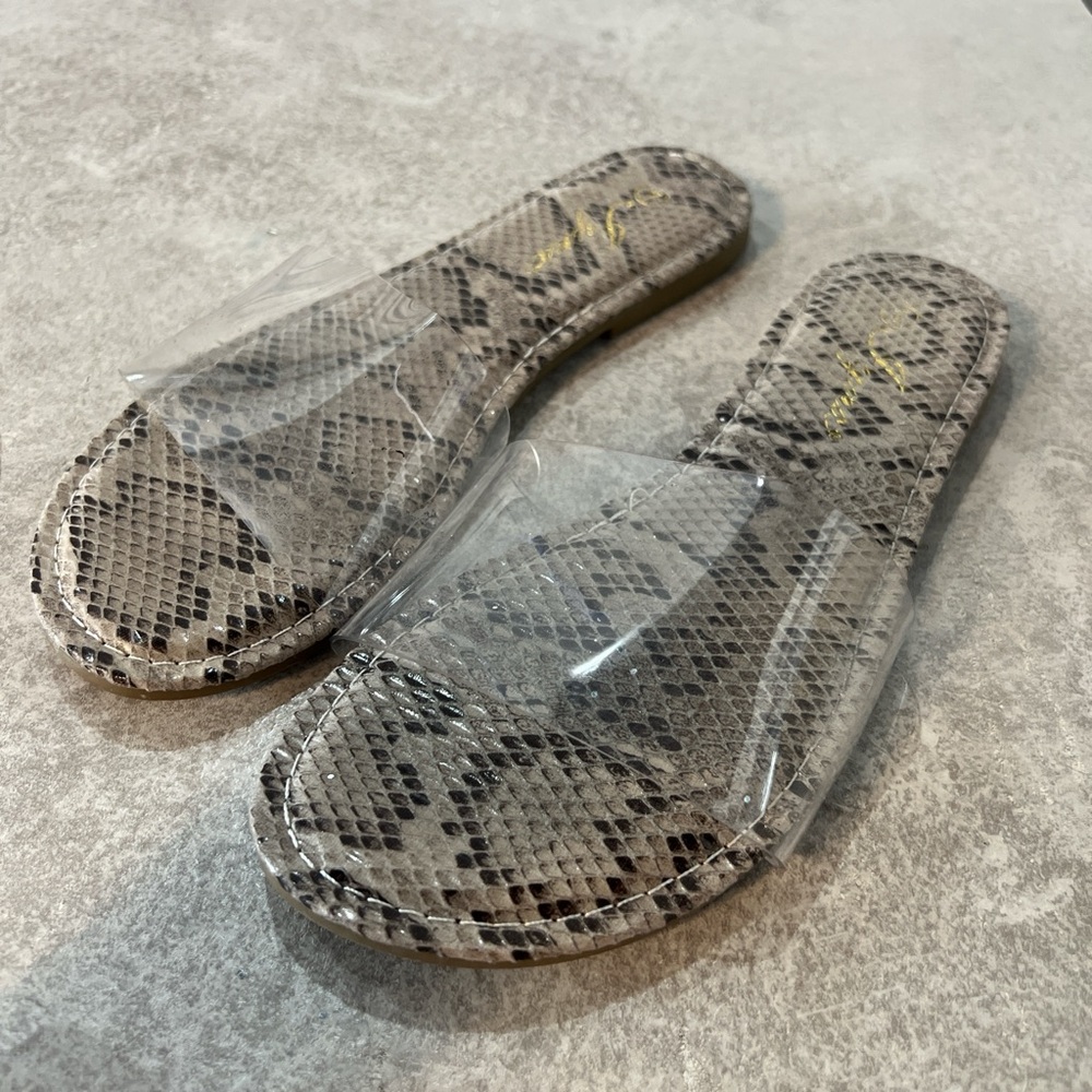 Snake skin slides clear still in box